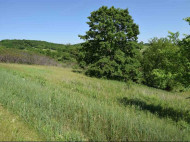 6.92 AC Pheasant Ct