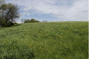 100 AC County Road Id