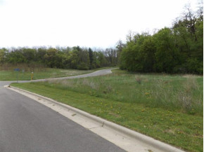 25 LOTS Deerwood Glen