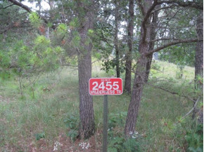 2455 Wilderness Tr