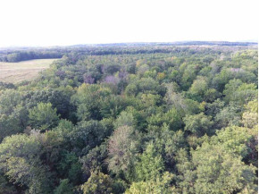 82 AC Diehl Rd