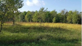 11.68 AC Hidden Meadow Ln