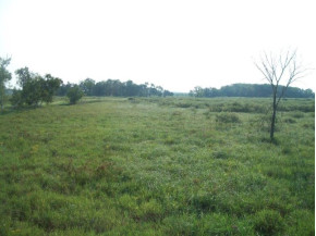 56 AC Marsh Rd