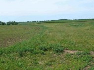 135.8 AC Rock Rd