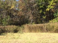 LOT 4 Lost Ridge Ln