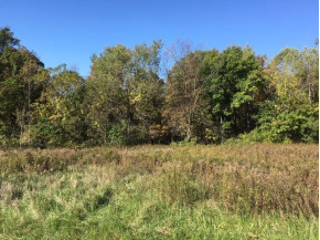 LOT 4 Lost Ridge Ln