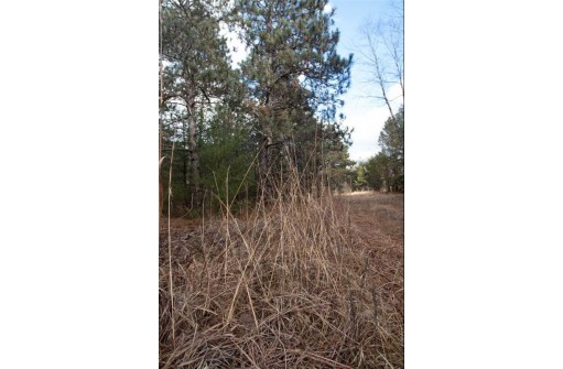 58.96 AC Helena Rd, Arena, WI 53503