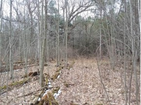 19.99 ACRES Germantown Rd