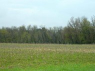 78.17 AC County Road E