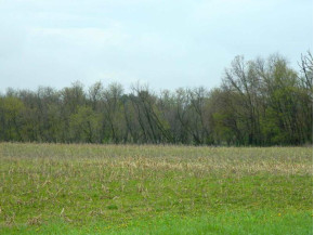 40.33 AC LOT 1 County Road E