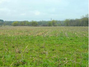 40.33 AC LOT 1 County Road E