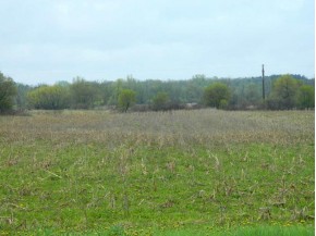 40.33 AC LOT 1 County Road E