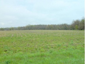 40.33 AC LOT 1 County Road E