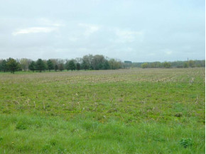 40.33 AC LOT 1 County Road E