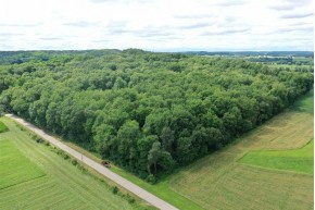 27.88 AC Briar Bluff Rd