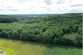 27.88 AC Briar Bluff Rd