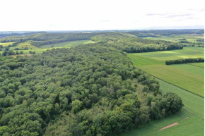 27.88 AC Briar Bluff Rd