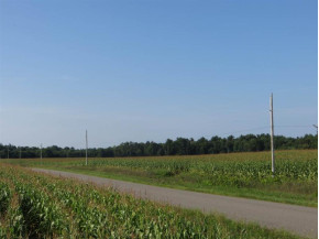 31.83 AC County Road B