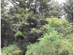 LOT 9 Gale Ct Wisconsin Dells, WI 53965