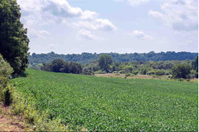 95.56 AC County Road U