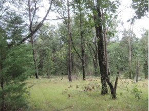 5 AC Deerborn Ave