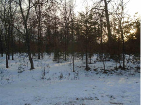 LOT 31 Sioux Ln