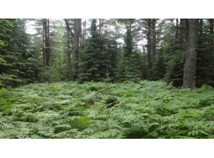L3 & L4 Murmuring Pines Tr Rhinelander, WI 54501