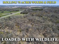 35 AC County Road P