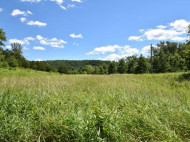 81 ACRES Berg Rd & Mount Hope Rd