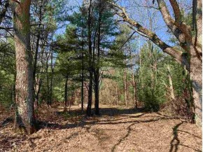 4.9 AC Maple Dr