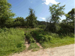 124.29 AC Oak Rd/Hwy 18