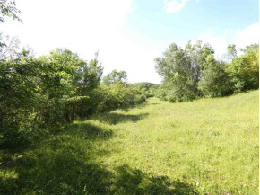 124.29 AC Oak Rd/Hwy 18