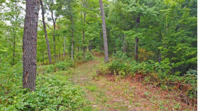 40 AC County Road H