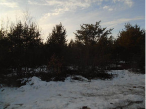 LOT 41 Sioux Ln