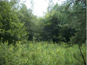 40 AC County Road G