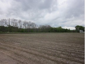 15 AC Shady Ln