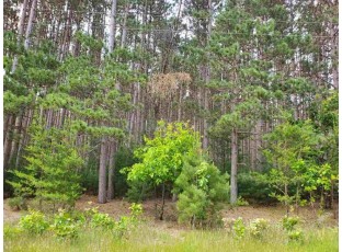 LOT 88 S Gale Ct Wisconsin Dells, WI 53965-9999