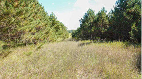 40 AC County Road A