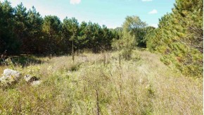 40 AC County Road A