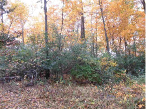 LOT 72 River Shores Rd