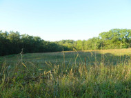 21.99 AC White Oak Rd