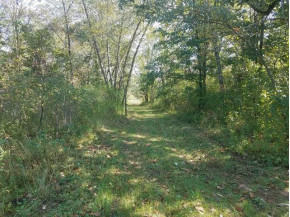 64.13 AC County Road Hh