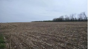 62.26 ACRES Biggs Rd