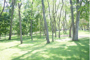 4.9 AC Watts Springs Park Rd