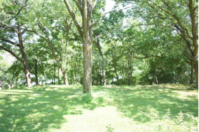 4.9 AC Watts Springs Park Rd