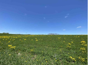 58.87 AC County Road N