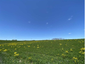 58.87 AC County Road N