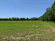 12.5 ACRES E Mathewson Rd