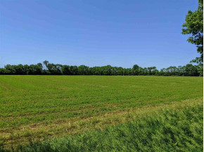 12.5 ACRES E Mathewson Rd