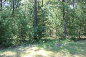 LOT 42 N Badger Dr